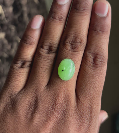 Nephrite Jade Scarab 16X12mm Oval